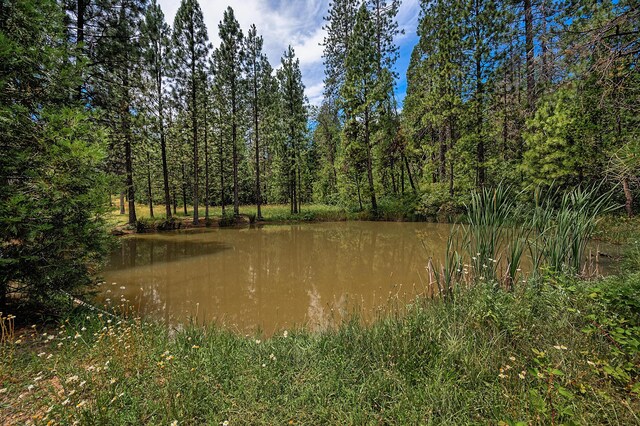 29230 Fenders Ferry Rd, Round Mountain, CA 96084 - photo 51