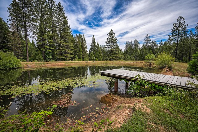 29230 Fenders Ferry Rd, Round Mountain, CA 96084 - photo 52