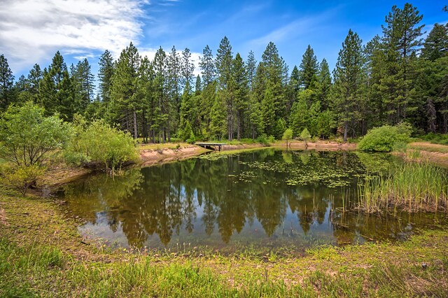 29230 Fenders Ferry Rd, Round Mountain, CA 96084 - photo 54