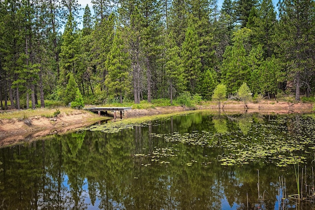 29230 Fenders Ferry Rd, Round Mountain, CA 96084 - photo 55