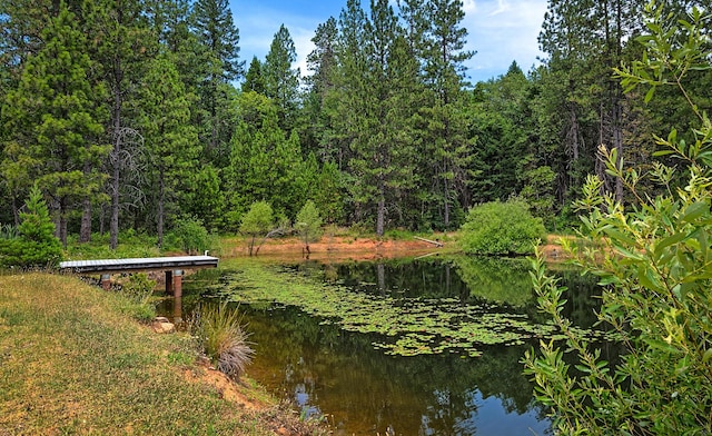 29230 Fenders Ferry Rd, Round Mountain, CA 96084 - photo 56