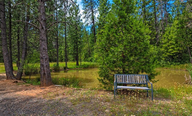 29230 Fenders Ferry Rd, Round Mountain, CA 96084 - photo 58