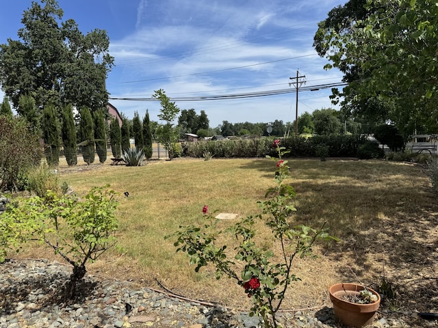 2392 Balls Ferry Rd, Anderson, CA 96007 - view of yard