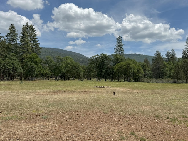 29093 Day Rd, Mcarthur, CA 96056 - view of mountain background with a heavily wooded area and rural landscape