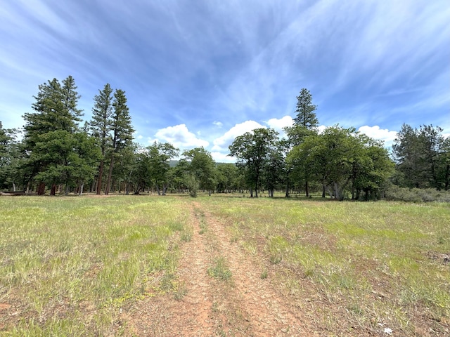 29093 Day Rd, Mcarthur, CA 96056 - view of local wilderness