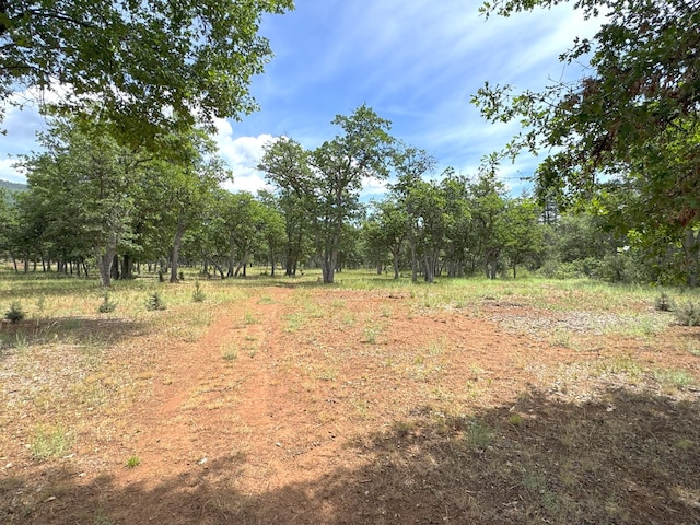 29093 Day Rd, Mcarthur, CA 96056 - view of nature
