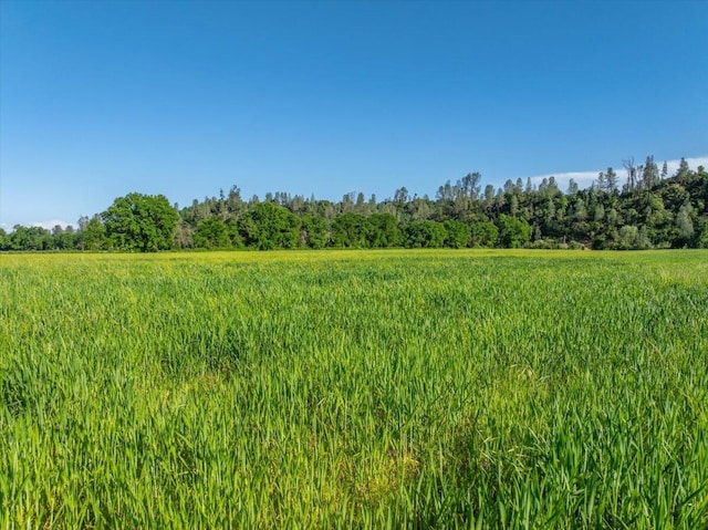 3141 Meadow Oak Dr, Cottonwood, CA 96022 - view of nature