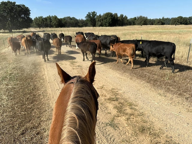 3141 Meadow Oak Dr, Cottonwood, CA 96022 - horse barn with a view of countryside