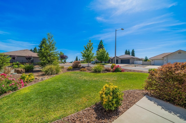 1005 Albion Ave, Redding, CA 96003 - view of green lawn featuring driveway and a residential view