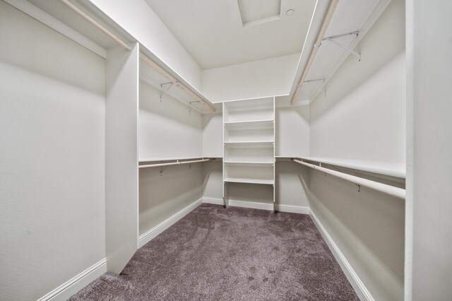1005 Albion Ave, Redding, CA 96003 - walk in closet with carpet and attic access