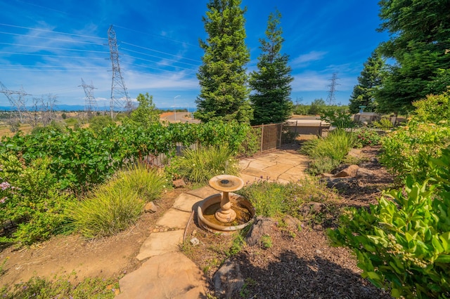 1005 Albion Ave, Redding, CA 96003 - view of yard