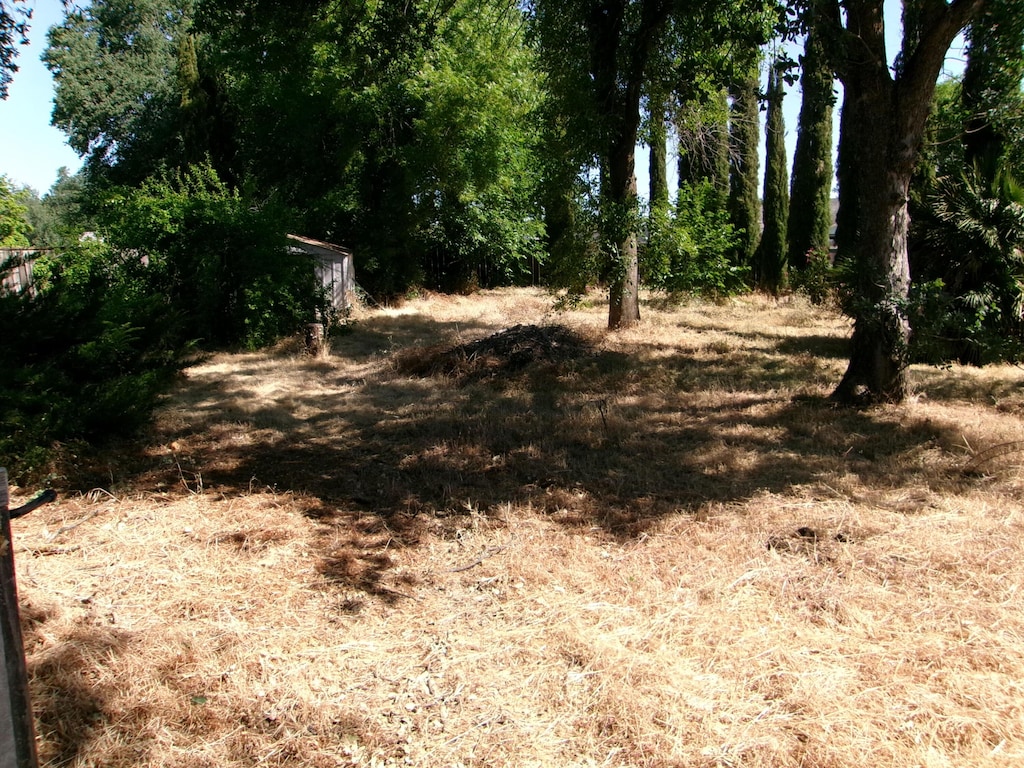 20682 Sigma Dr, Cottonwood, CA 96022 - view of local wilderness