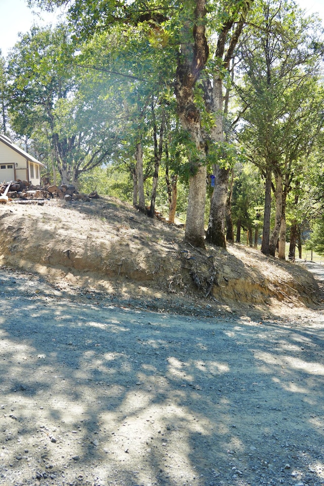 261 Salt Flat Rd, Lewiston, CA 96052 - view of yard with a garage