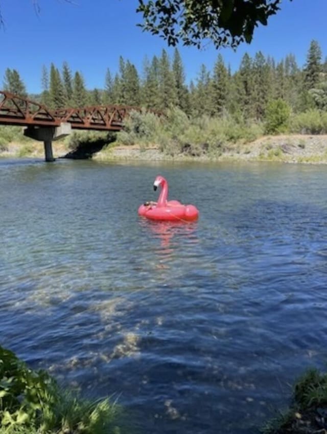 261 Salt Flat Rd, Lewiston, CA 96052 - water view
