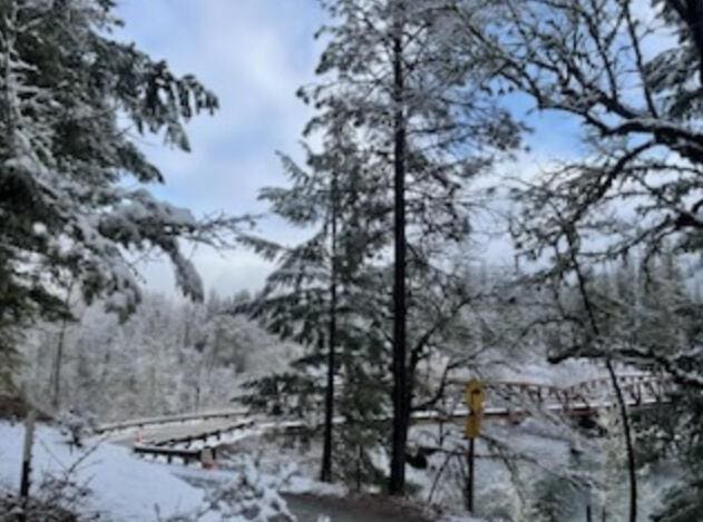 261 Salt Flat Rd, Lewiston, CA 96052 - mountain view featuring a forest
