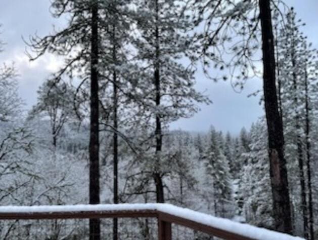 261 Salt Flat Rd, Lewiston, CA 96052 - mountain view with a forest