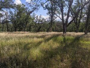 Palo Cedro Dr, Palo Cedro, CA 96073 - photo 1