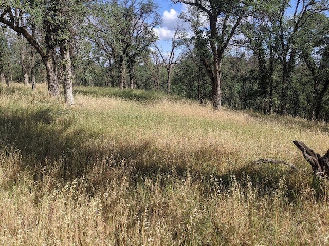 Palo Cedro Dr, Palo Cedro, CA 96073 - photo 2