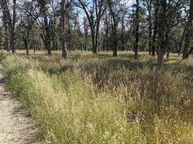Palo Cedro Dr, Palo Cedro, CA 96073 - photo 3
