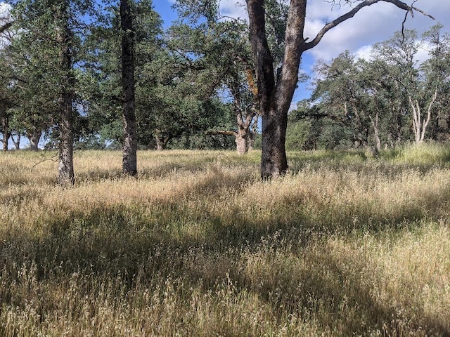 Palo Cedro Dr, Palo Cedro, CA 96073 - photo 4