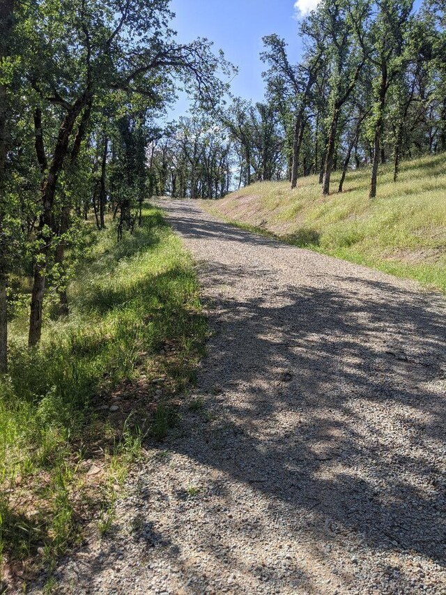 Palo Cedro Dr, Palo Cedro, CA 96073 - photo 5