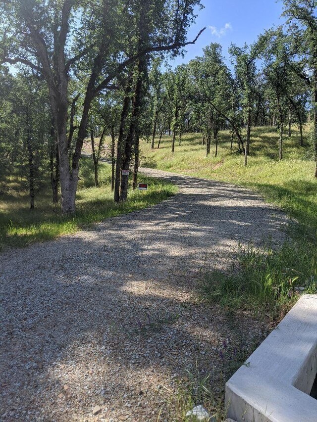 Palo Cedro Dr, Palo Cedro, CA 96073 - photo 6