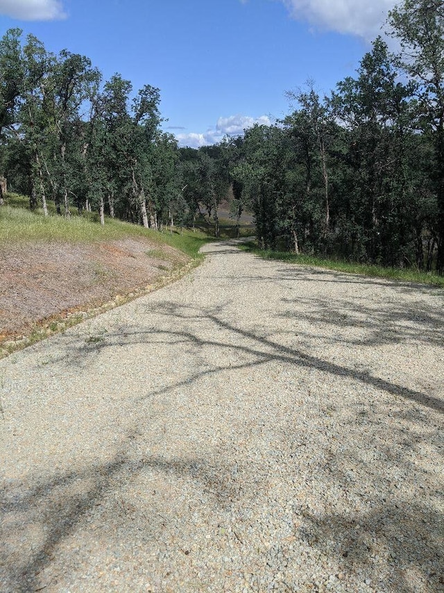 Palo Cedro Dr, Palo Cedro, CA 96073 - photo 8