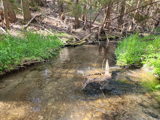 Manzanita Creek Dr, Shingletown, CA 96088
