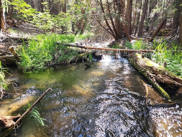 Manzanita Creek Dr, Shingletown, CA 96088