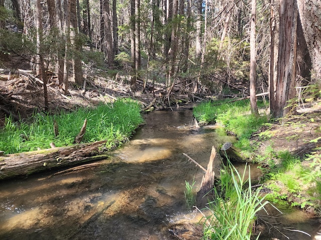 Manzanita Creek Dr, Shingletown, CA 96088