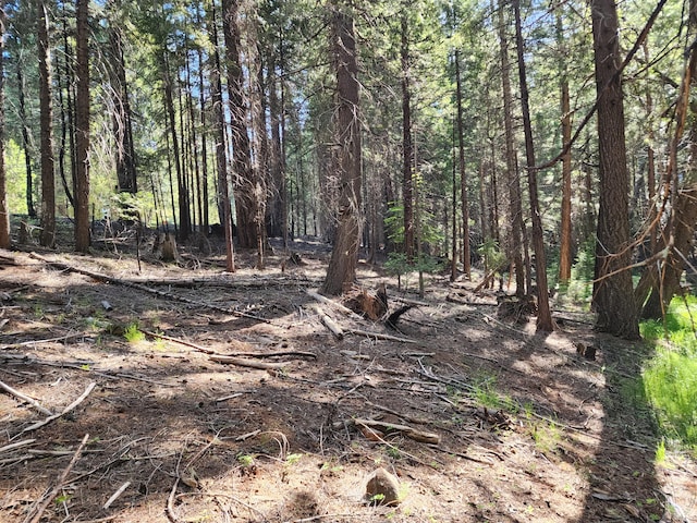 Manzanita Creek Dr, Shingletown, CA 96088