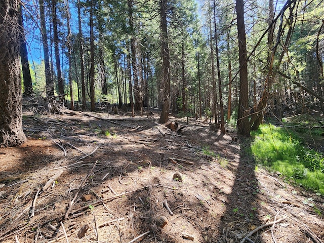 Manzanita Creek Dr, Shingletown, CA 96088