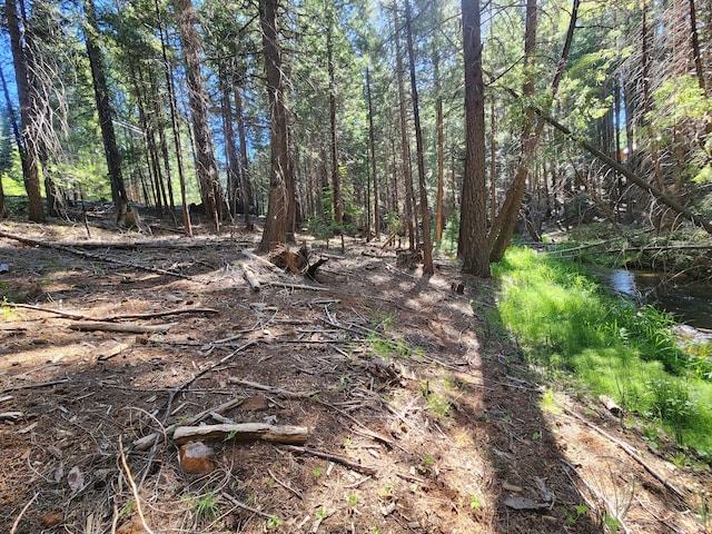 Manzanita Creek Dr, Shingletown, CA 96088