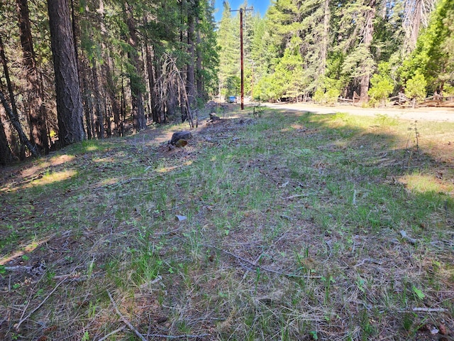Manzanita Creek Dr, Shingletown, CA 96088