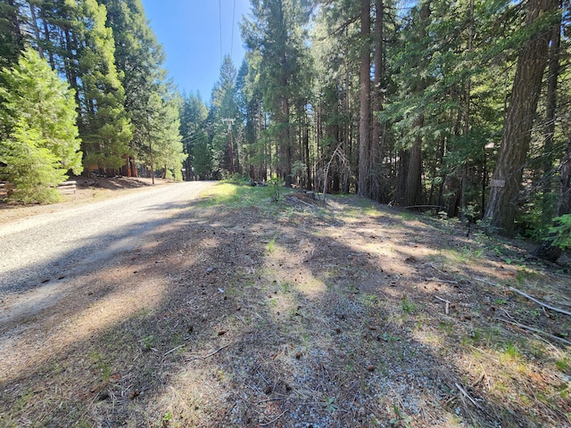 Manzanita Creek Dr, Shingletown, CA 96088