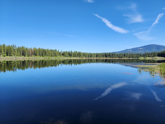 Manzanita Creek Dr, Shingletown, CA 96088