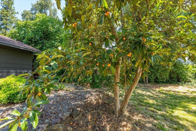 2551 S Waverly Ave, Redding, CA 96001 - view of grassy yard