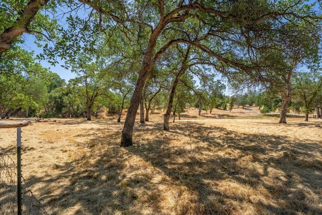 22400 E Elk Trl, Redding, CA 96003 - view of yard