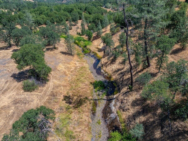 22400 E Elk Trl, Redding, CA 96003 - aerial view