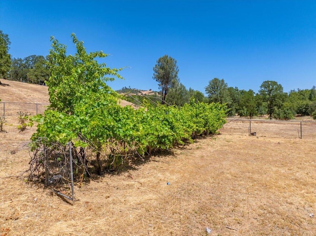 22400 E Elk Trl, Redding, CA 96003 - view of yard with a view of countryside