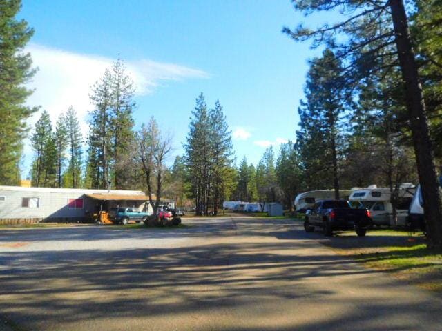 37985 Clark Creek Rd, Burney, CA 96013 - photo 4