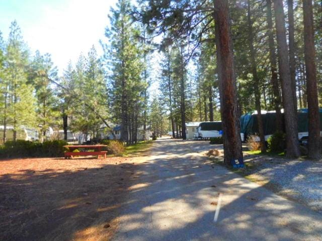 37985 Clark Creek Rd, Burney, CA 96013 - photo 5