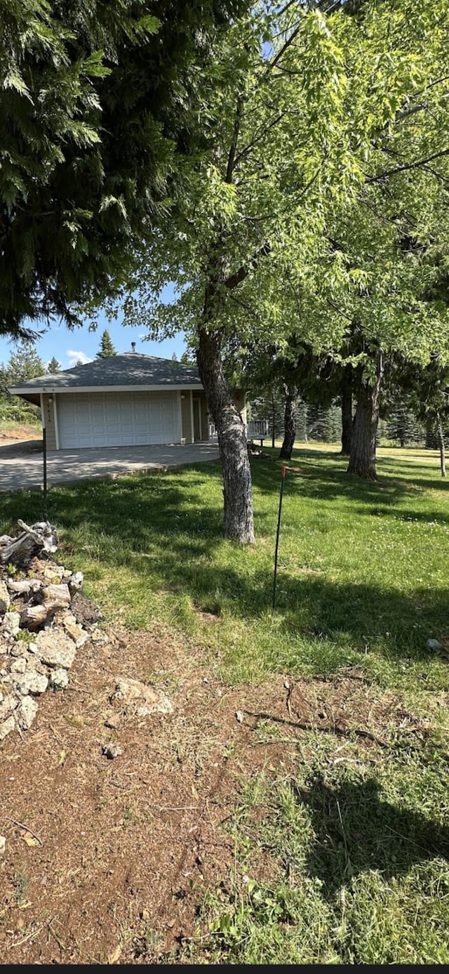 7914 Airport Way, Shingletown, CA 96088 - view of green lawn with asphalt driveway