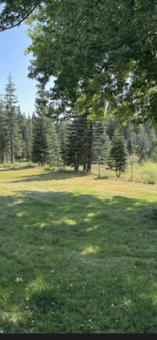 7914 Airport Way, Shingletown, CA 96088 - view of green lawn