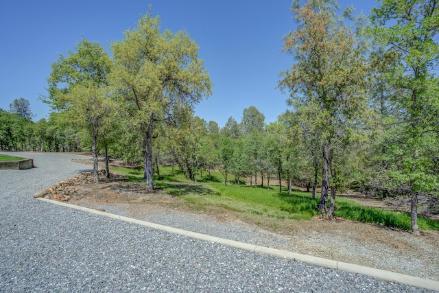 17400 Pittim Dr, Redding, CA 96003 - view of yard