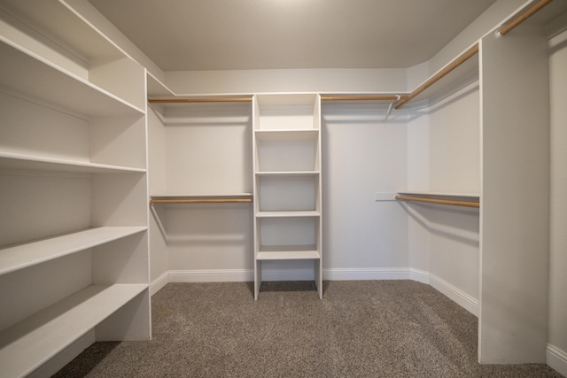 3255 Wandsworth Dr, Shasta Lake, CA 96019 - spacious closet with carpet
