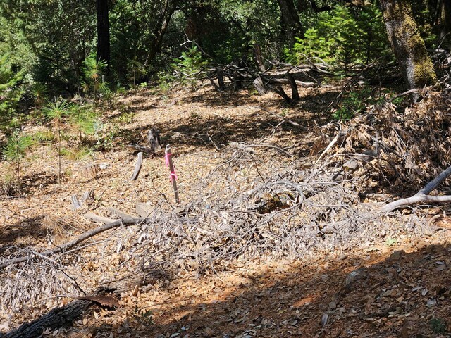 2.53ACRES Waterman Rd, Lakehead, CA 96051 - photo 13