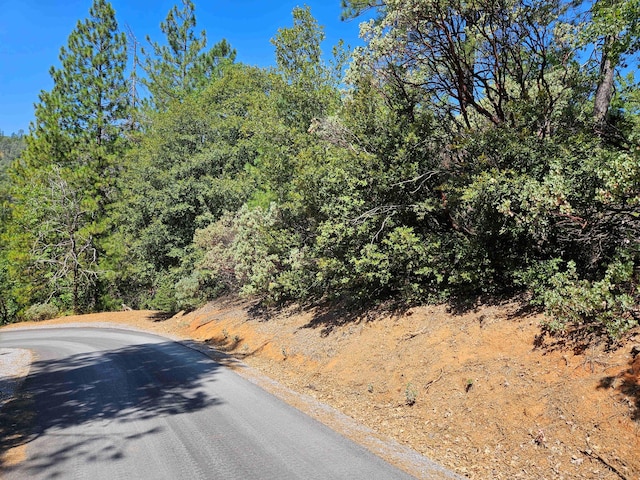 2.53ACRES Waterman Rd, Lakehead, CA 96051 - photo 4