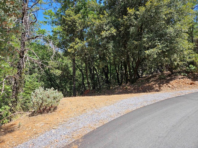 2.53ACRES Waterman Rd, Lakehead, CA 96051 - photo 5