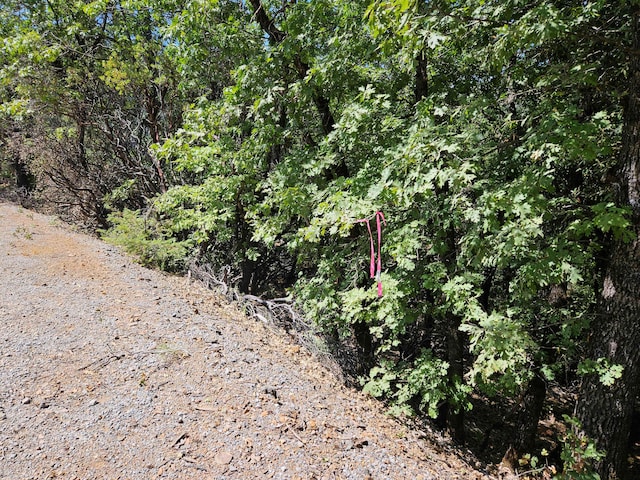 2.53ACRES Waterman Rd, Lakehead, CA 96051 - photo 6